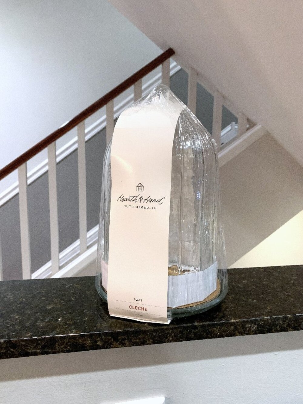 NEW Hearth and & Hand with Magnolia 10" Clear Glass CLOCHE Target Spring 2025